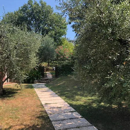 Rupestre 2.0 Manerba del Garda